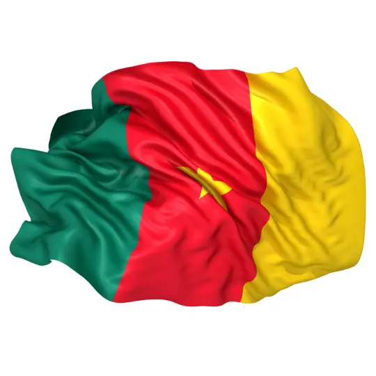 Drapeau du Cameroun